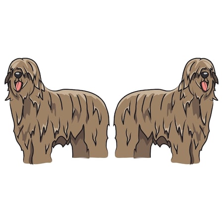 Signmission Briard Dog Decal, Dog Lover Decor Vinyl Sticker D-24-Briard